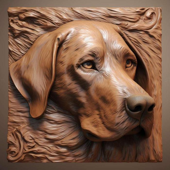 Природа и животные (Собака святого Пагля 2, NATURE_6794) 3D модель для ЧПУ станка